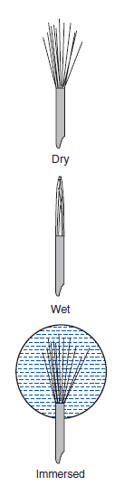 surface tensiometer and surface tension measurement